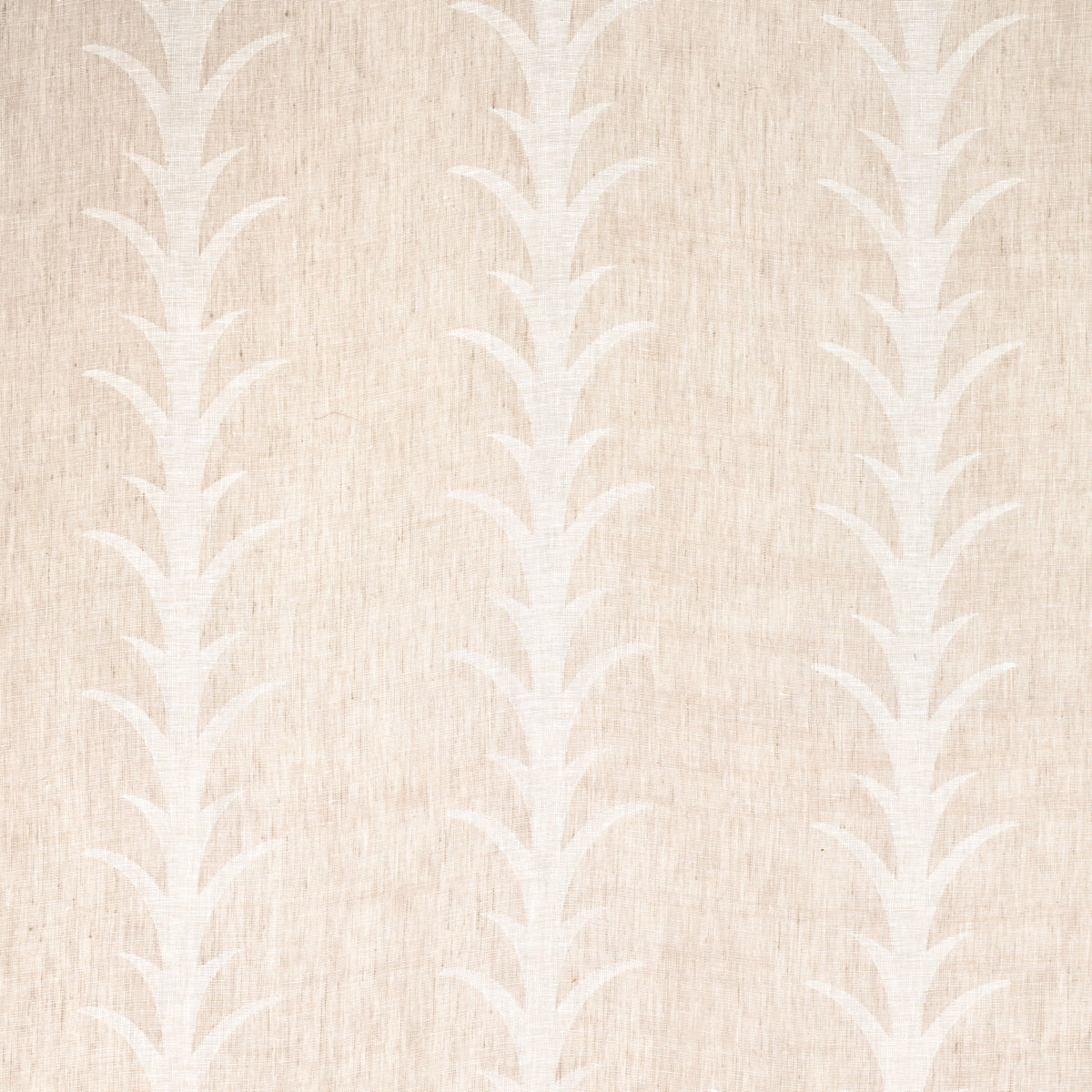 ACANTHUS STRIPE SHEER | Taupe