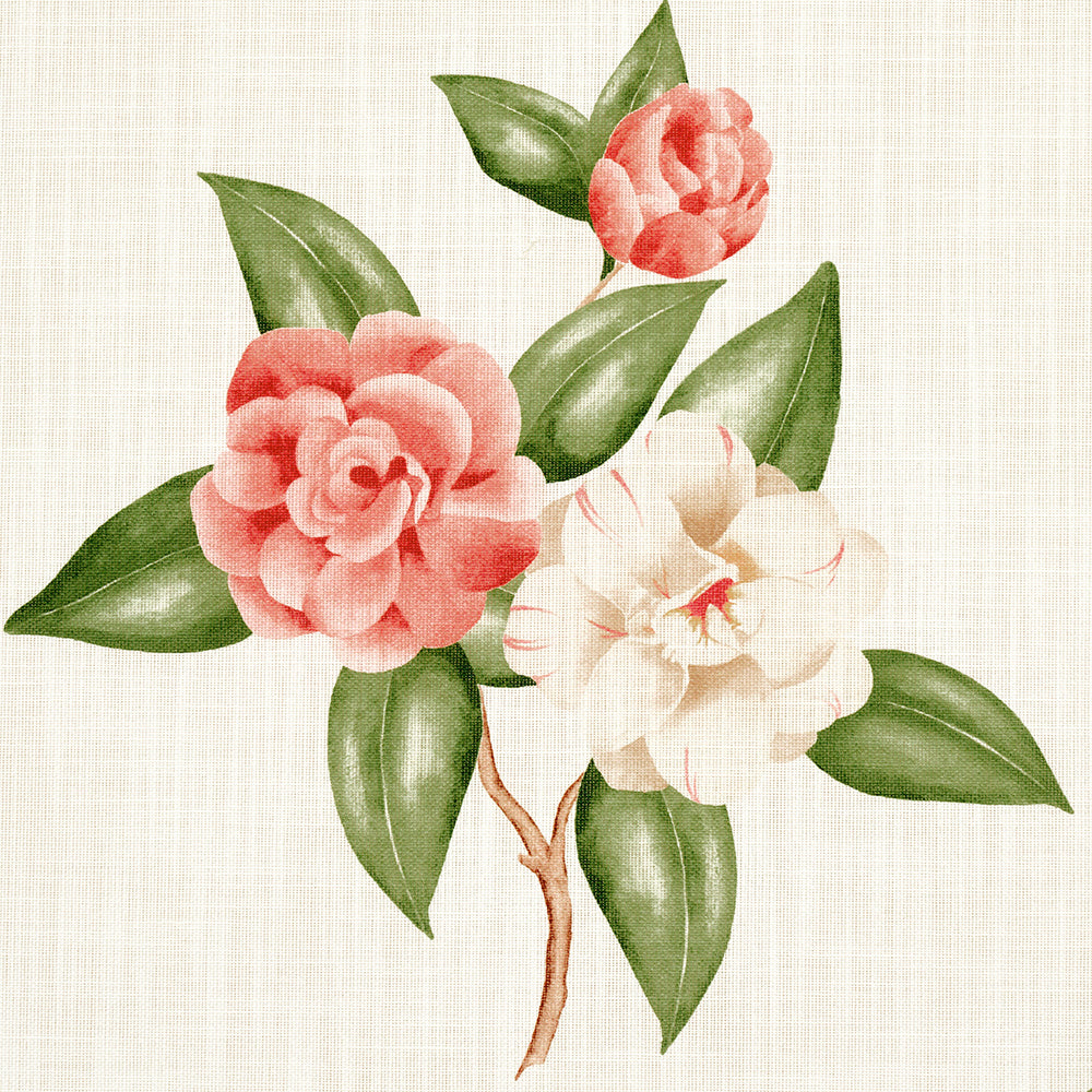 CASABLANCA FLORAL INDOOR/OUTDOOR | Coral