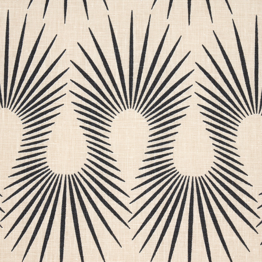 HEDGEHOG | PUTTY  BLACK