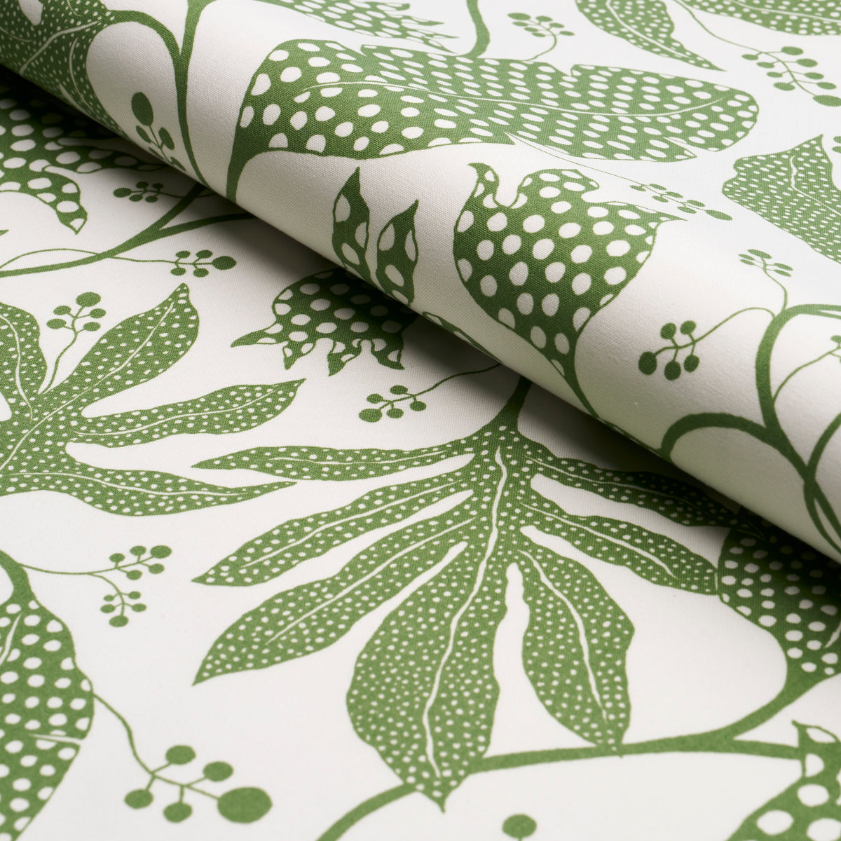 POLKA DOT JUNGLE | Green & Ivory