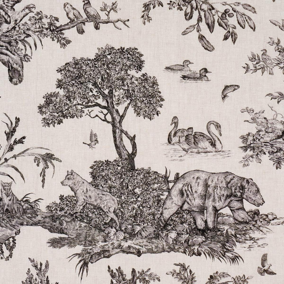 WESTERN TOILE | CARBON