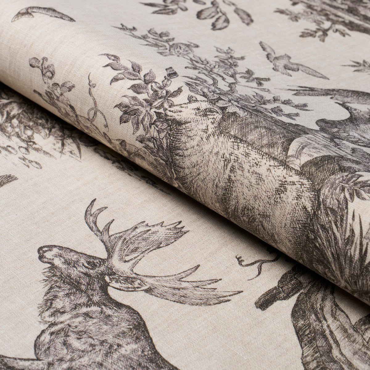 WESTERN TOILE | CARBON