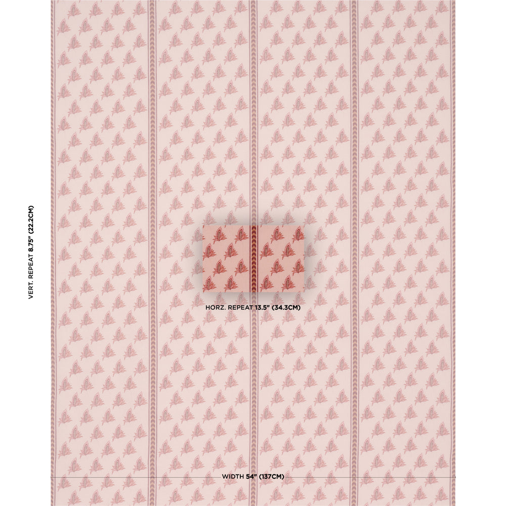 BANGALORE IMAGINATION | Rose