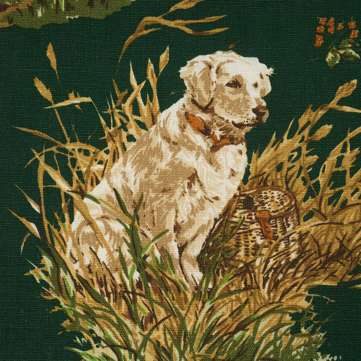 DOG & DUCK | Verdant