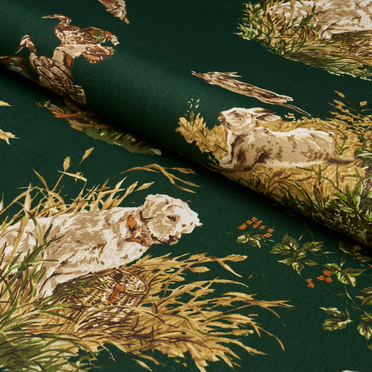 DOG & DUCK | Verdant