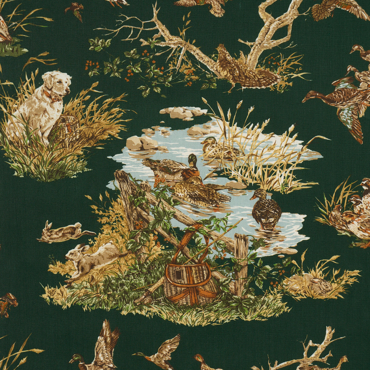 DOG & DUCK | Verdant