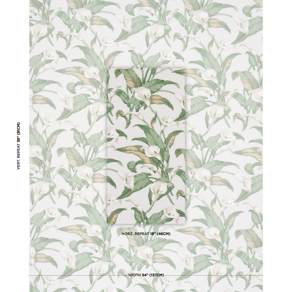 Arum Lilies | Ivory