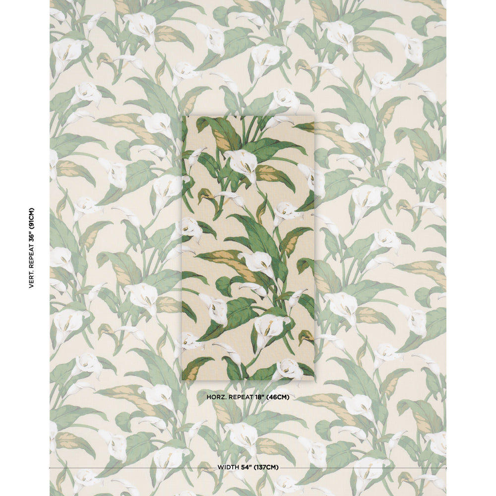 Arum Lilies | Parchment