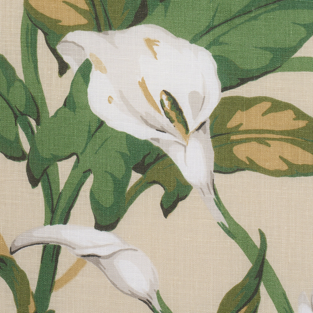 Arum Lilies | Parchment