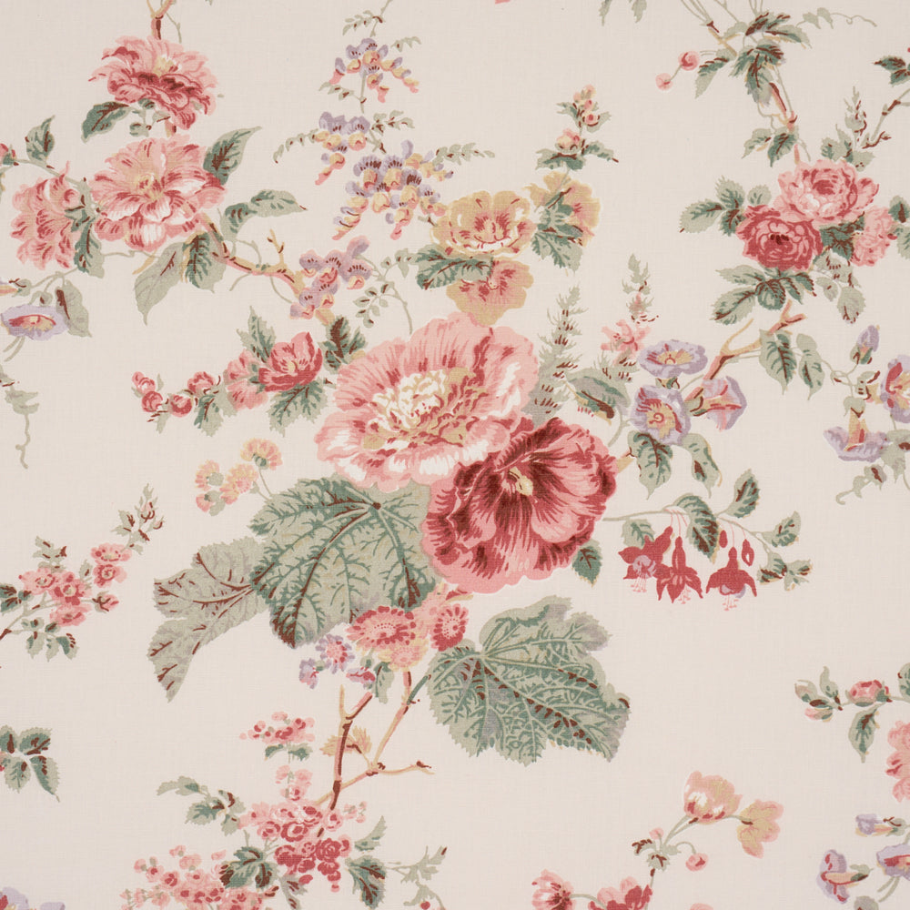 Midsummer Hollyhock | Rose