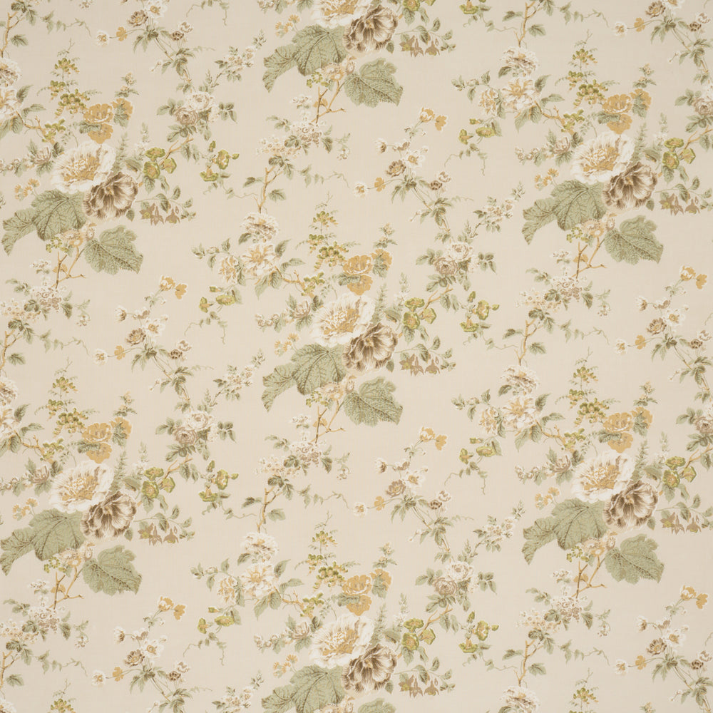 Midsummer Hollyhock | Citron