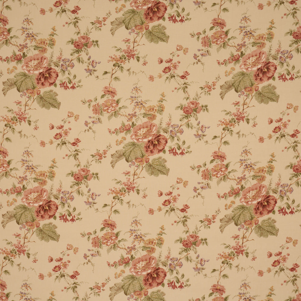 Midsummer Hollyhock | Beige