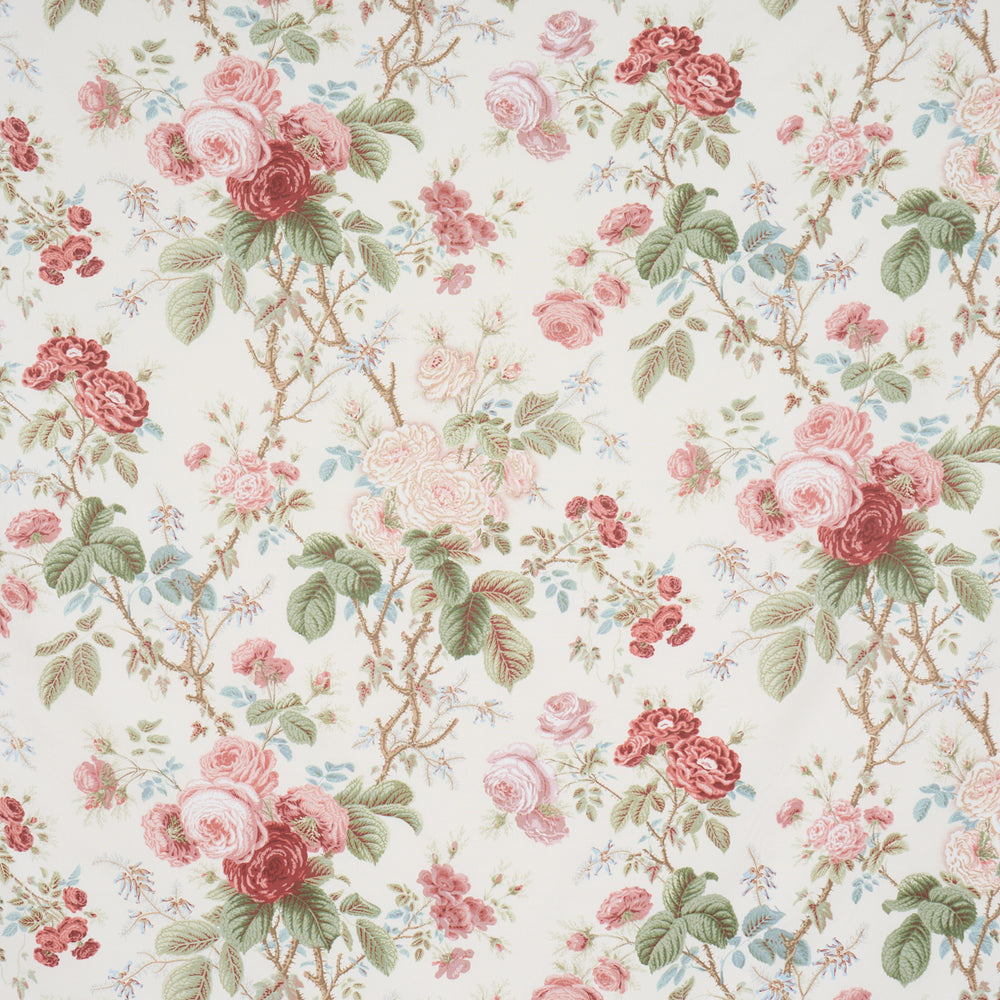 SHE WALKS IN BEAUTY CHINTZ | Rose