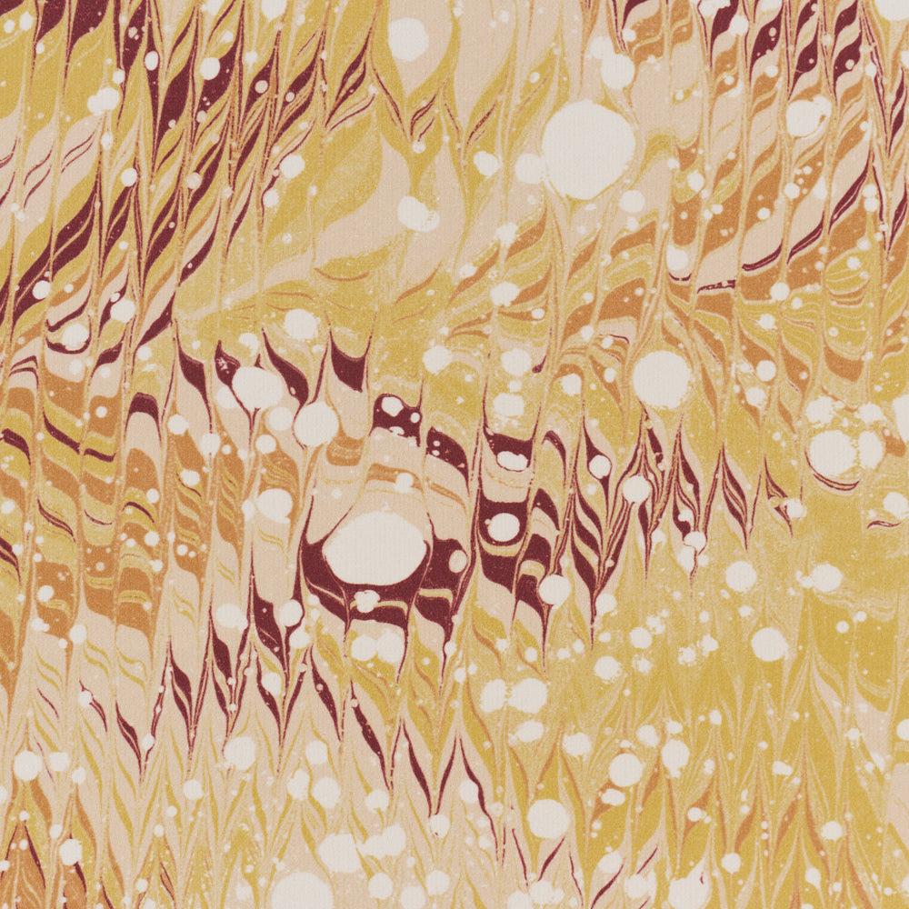 MESMERIC | Curry