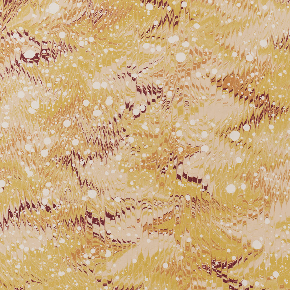 MESMERIC | Curry