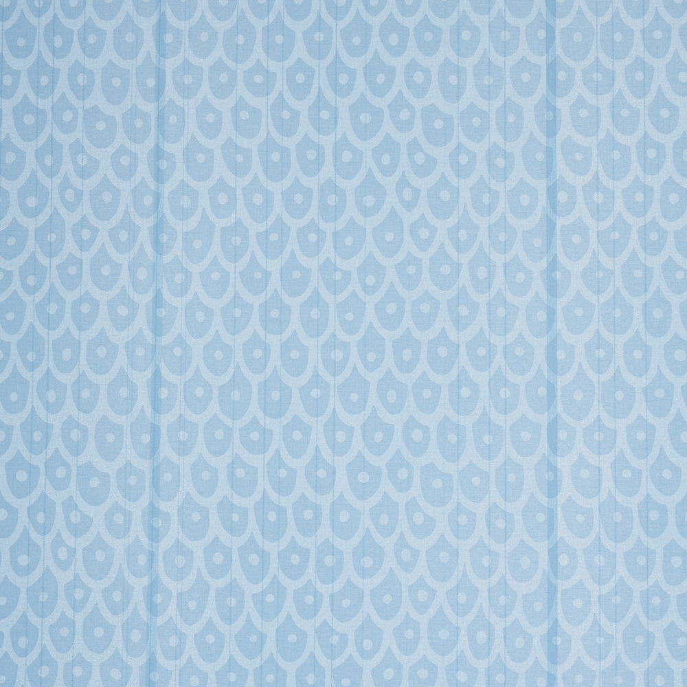 FISH SCALES | Sky