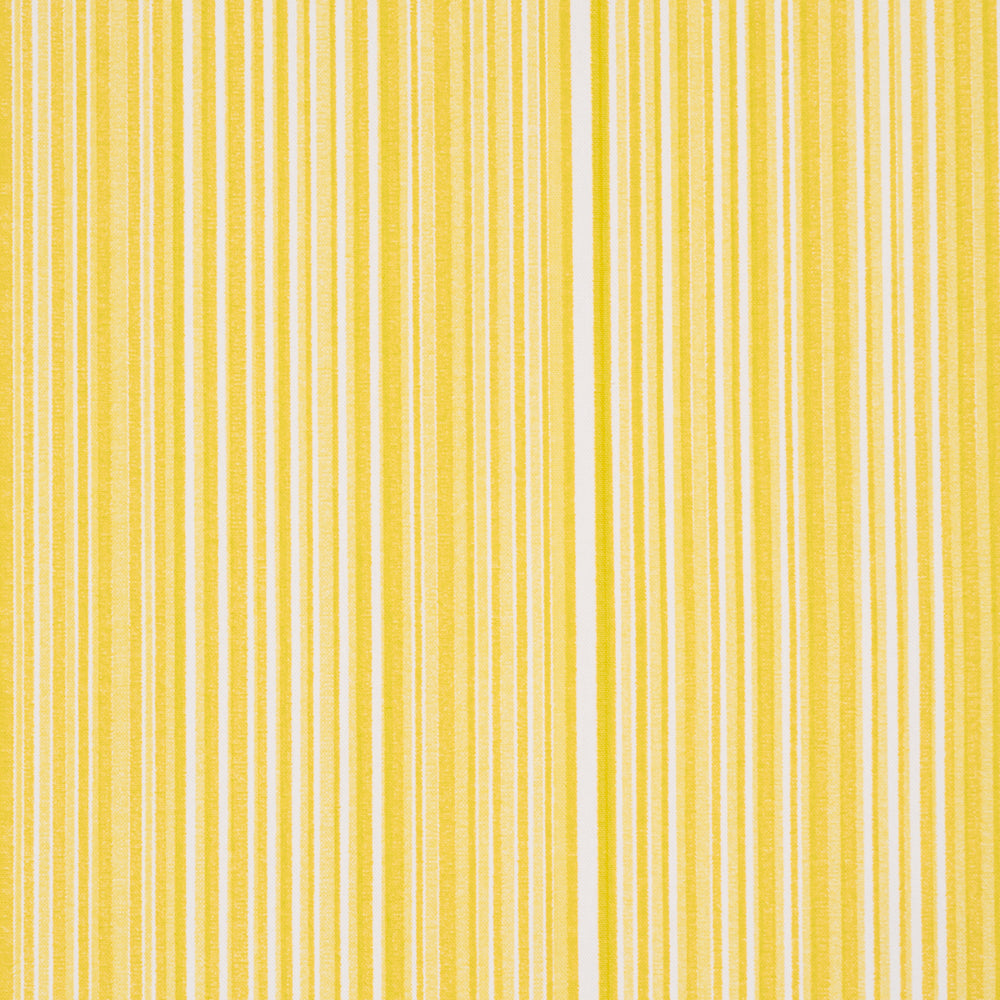 MINISTRIPE | Buttercup