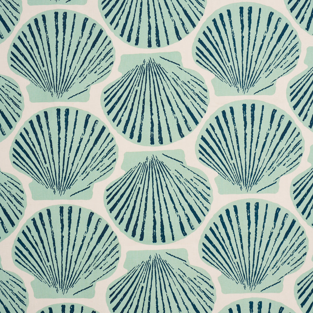 SCALLOP SHELL | Aqua