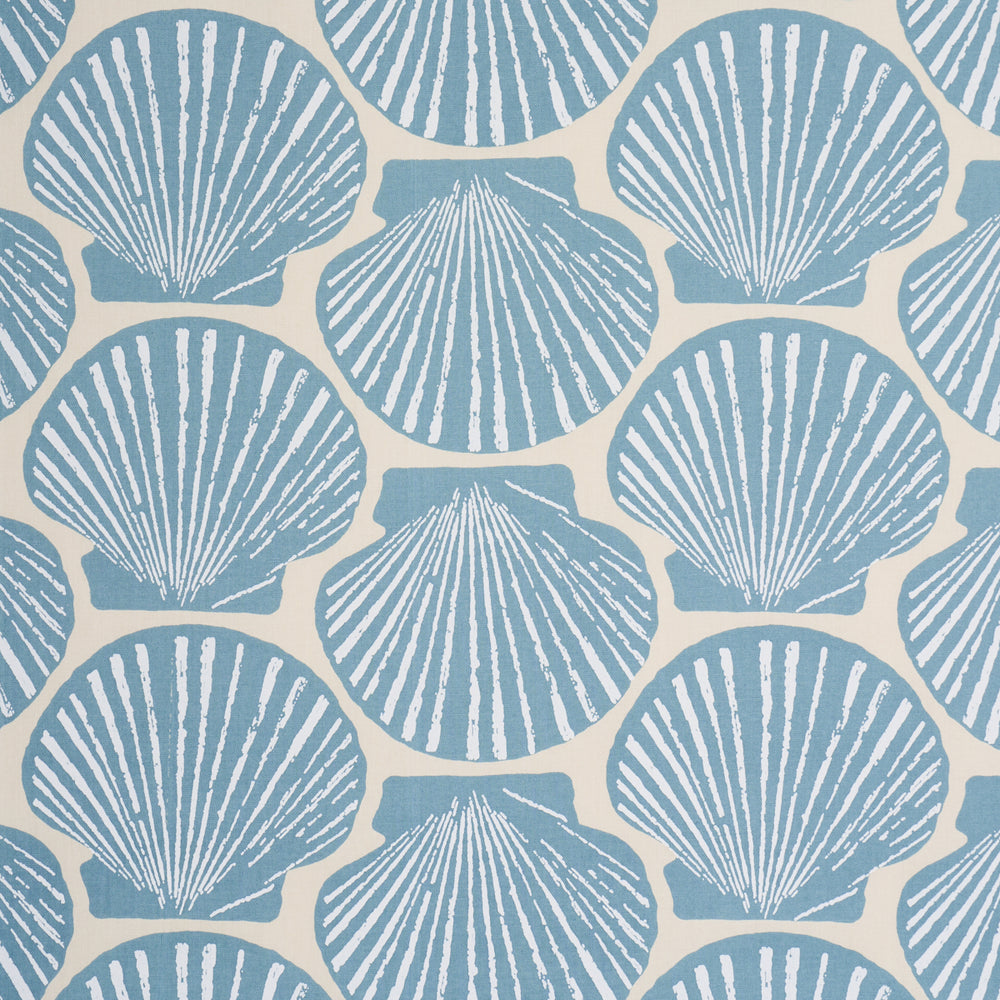 SCALLOP SHELL | Light Blue