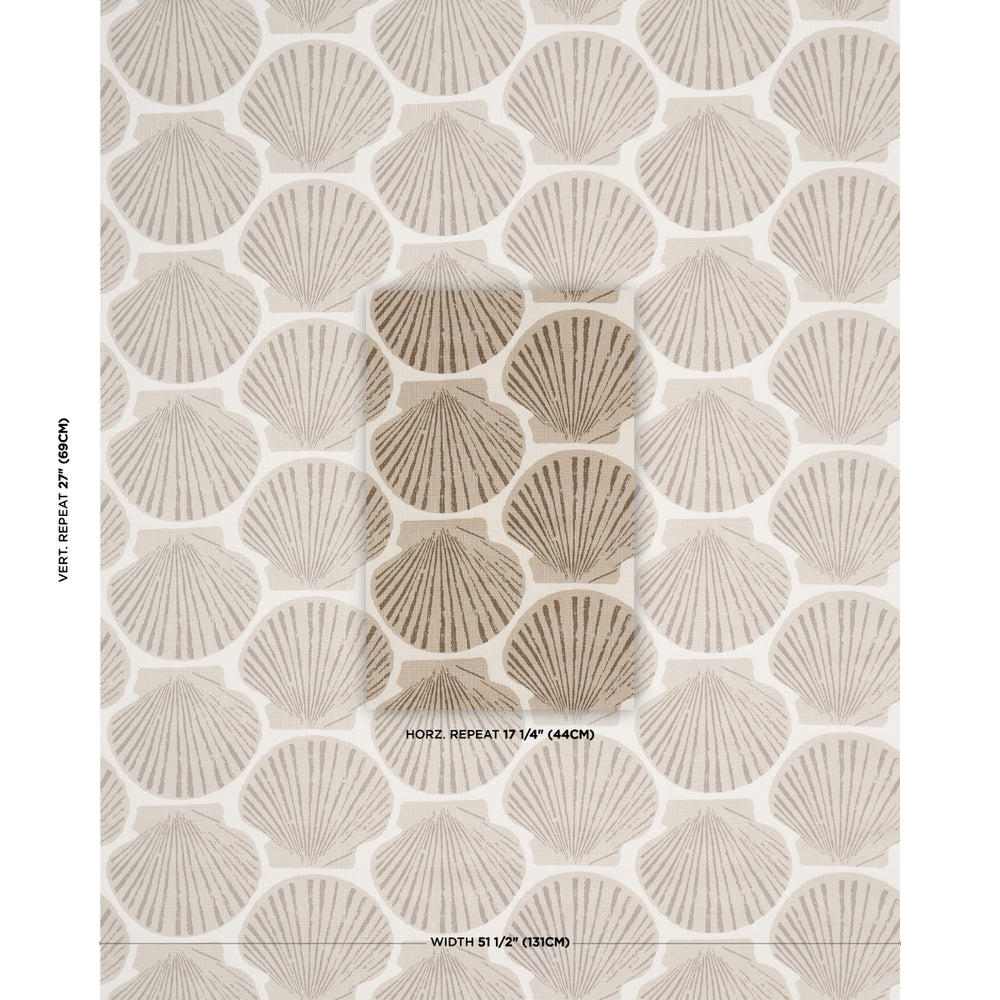 SCALLOP SHELL | Natural