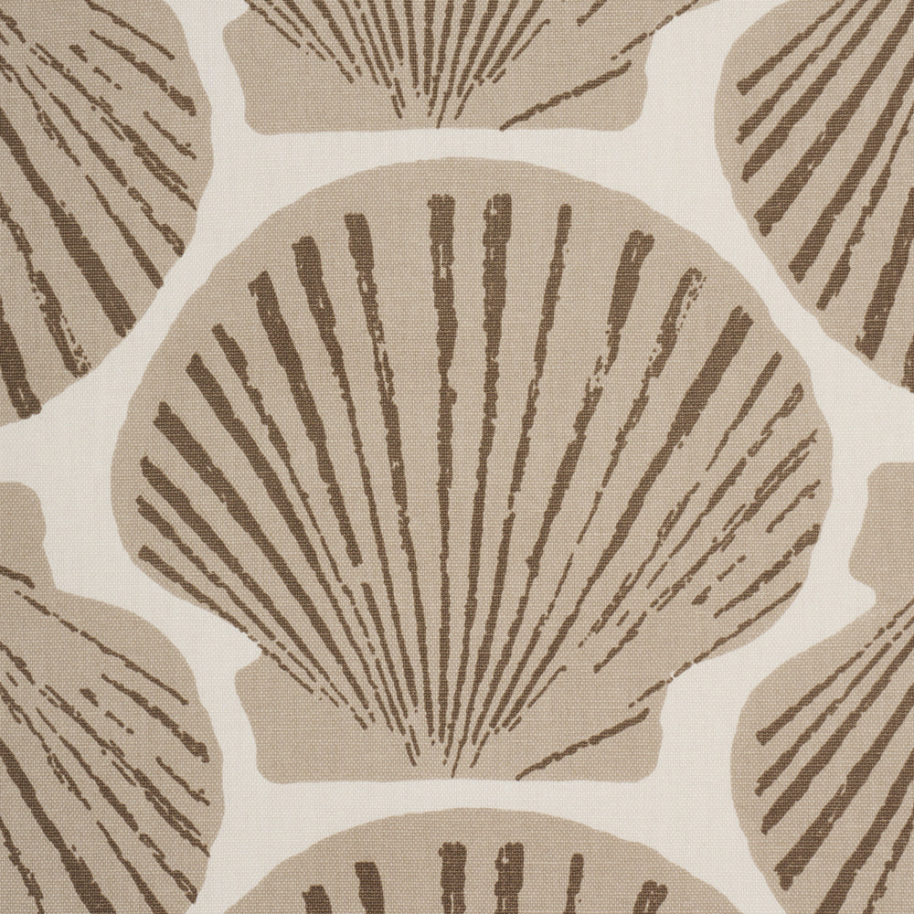 SCALLOP SHELL | Natural