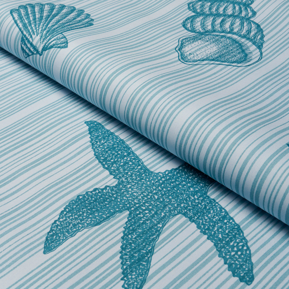 SEASHELLS | Ocean