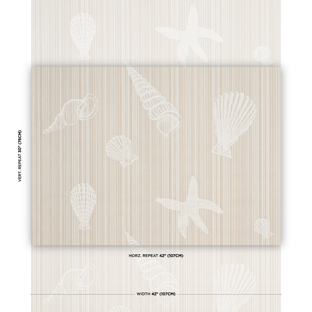 SEASHELLS | Natural