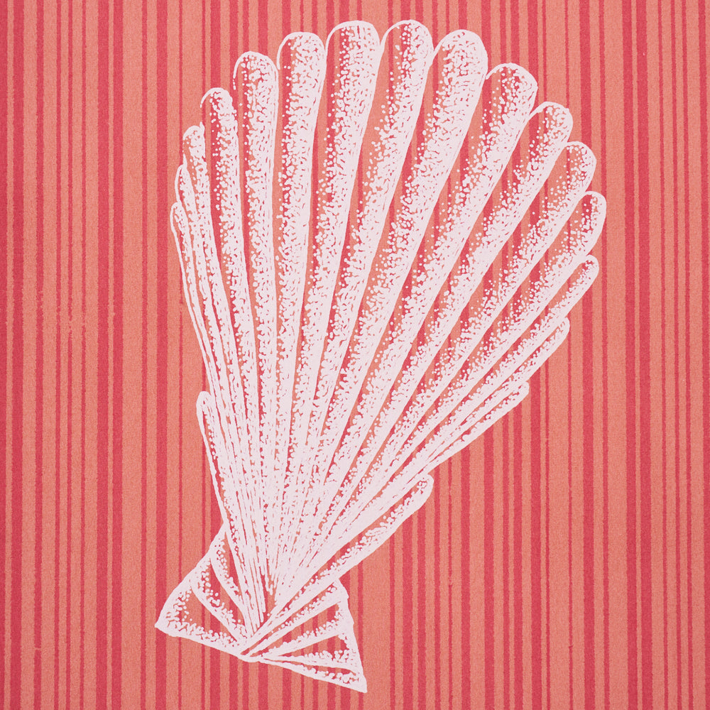 SEASHELLS | Coral
