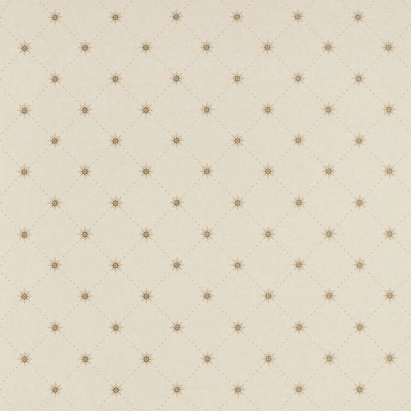 COOPER STAR | Alabaster