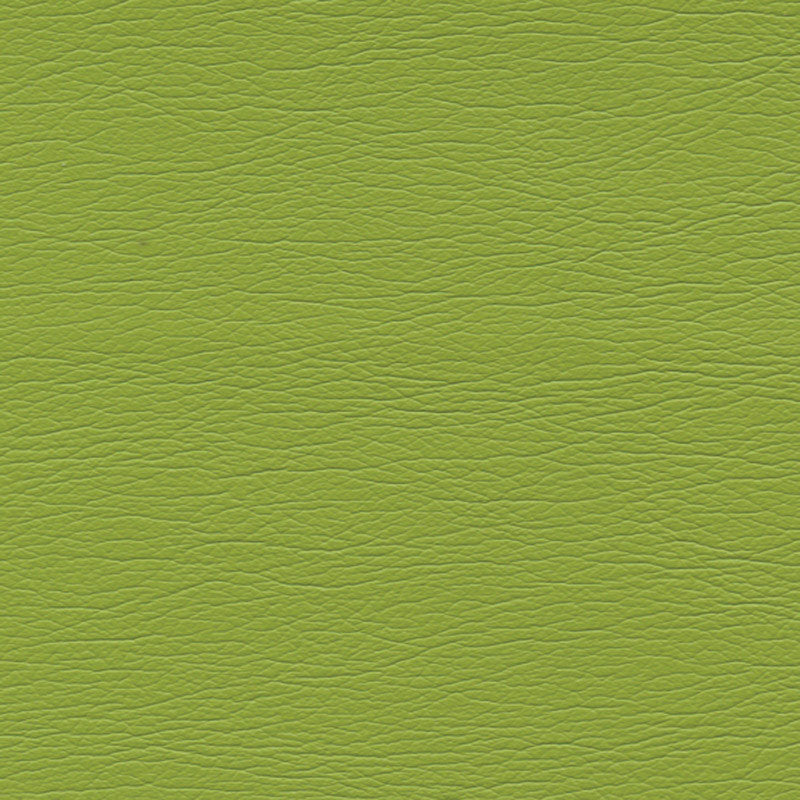 ULTRALEATHER | Parrot