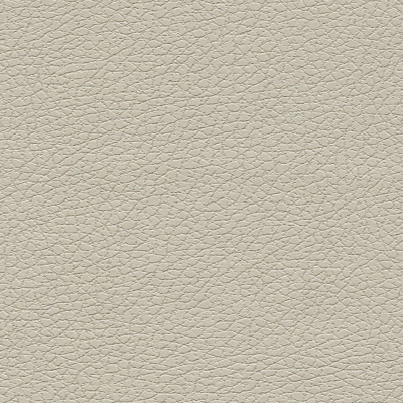 BRISA | Bone
