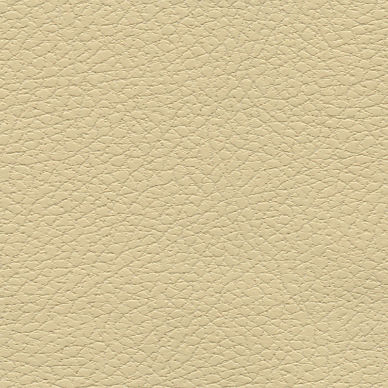 BRISA | Camel