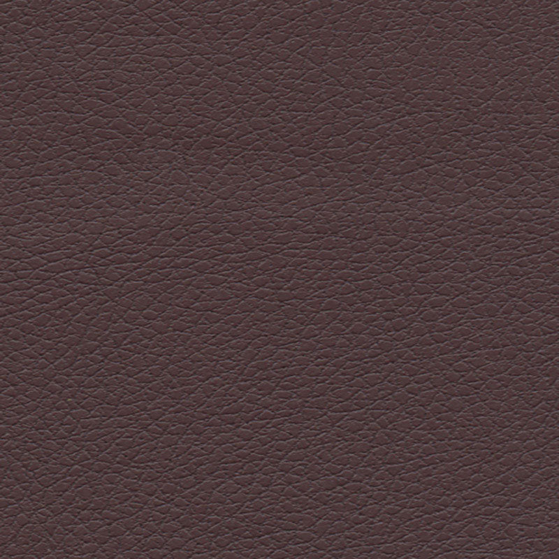 BRISA | Cabernet