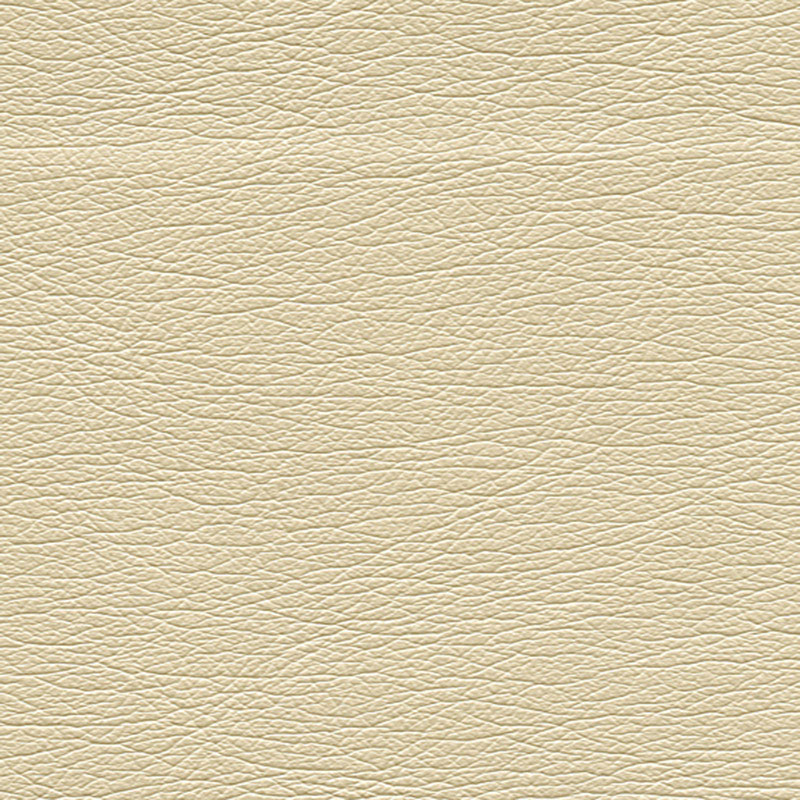 ULTRALEATHER PEARLIZED | Abalone