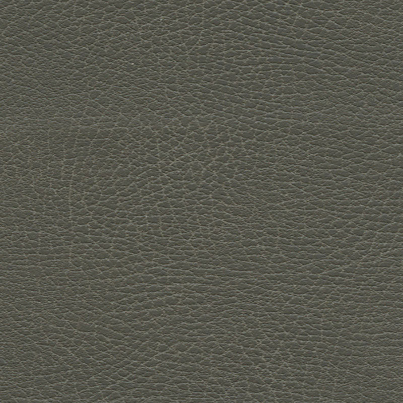 BRISA DISTRESSED | Elephant