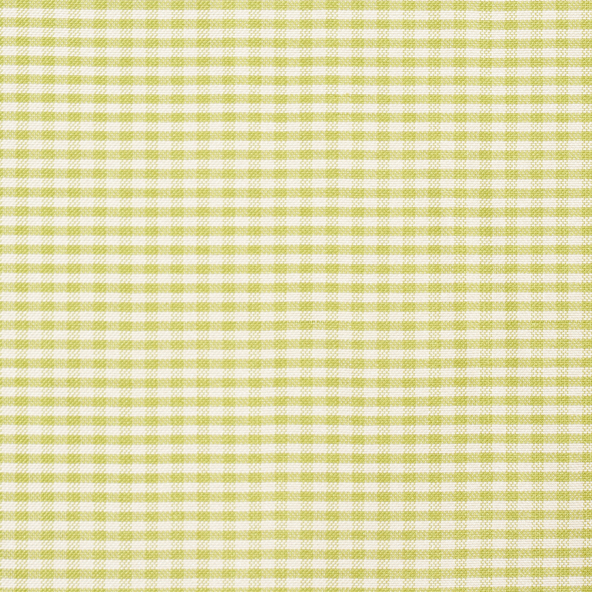 DALTON SILK GINGHAM | Chartreuse