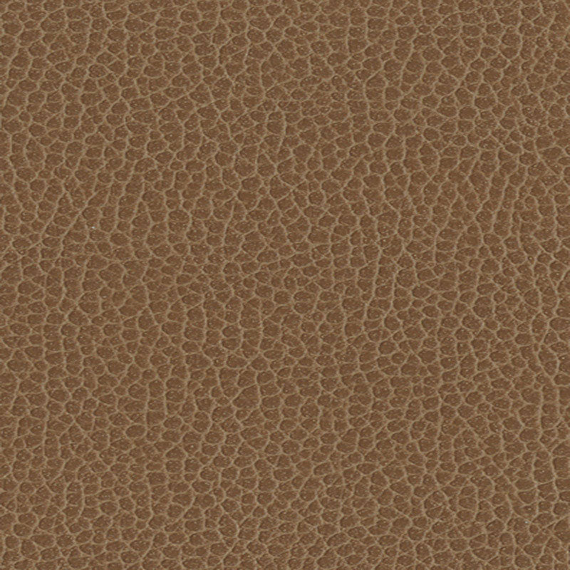 PROMESSA | Fields