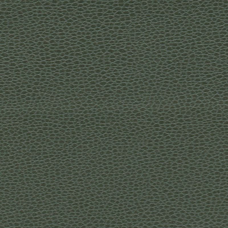 PROMESSA | Hunter