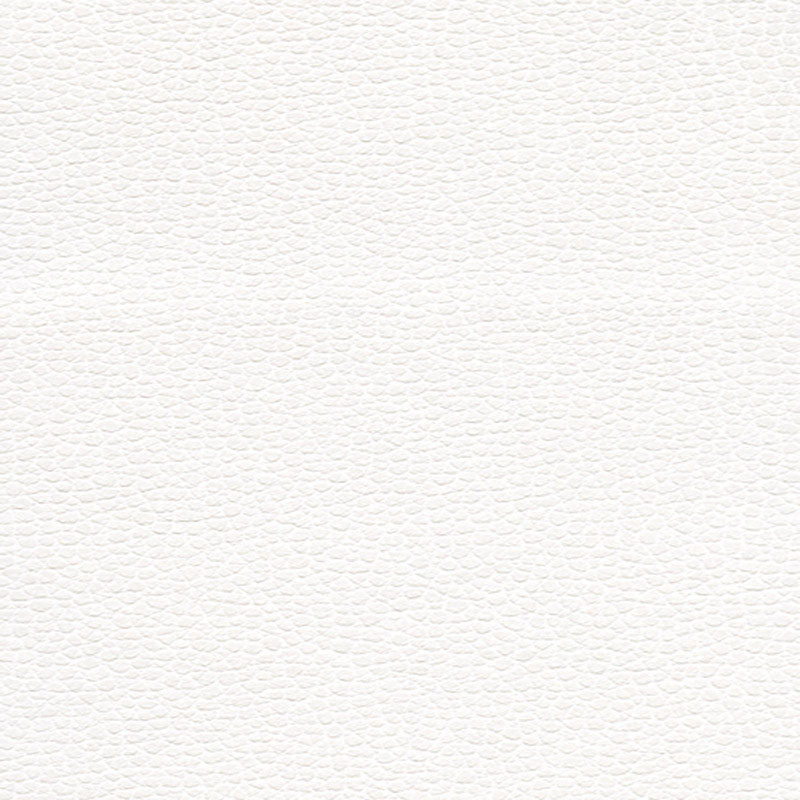 PROMESSA | Snow