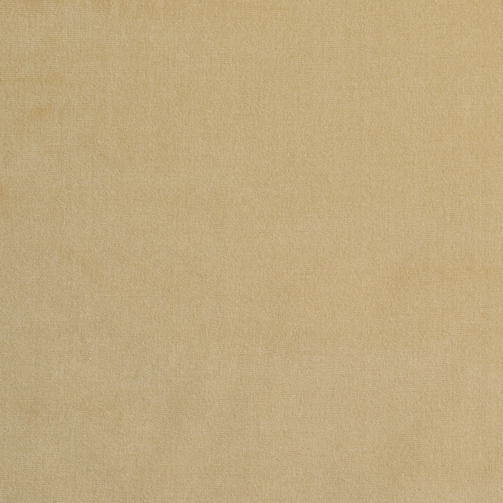 GAINSBOROUGH VELVET | Champagne