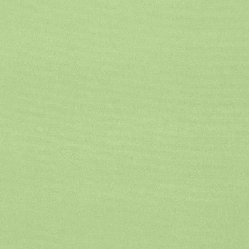 GAINSBOROUGH VELVET | Mint