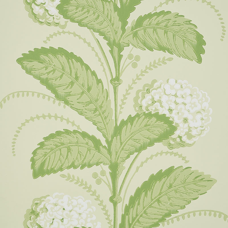 HYDRANGEA DRAPE | Green