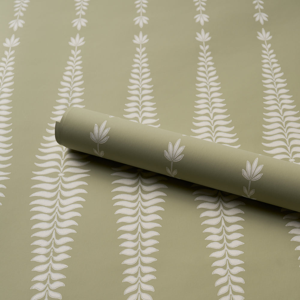 Fern Tree | Olive