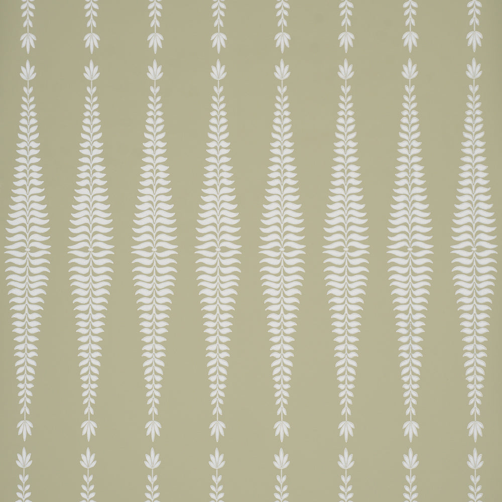 Fern Tree | Olive