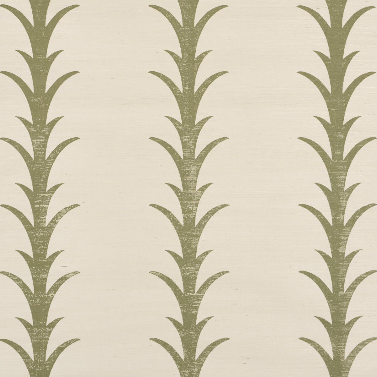 ACANTHUS STRIPE SISAL | Olive