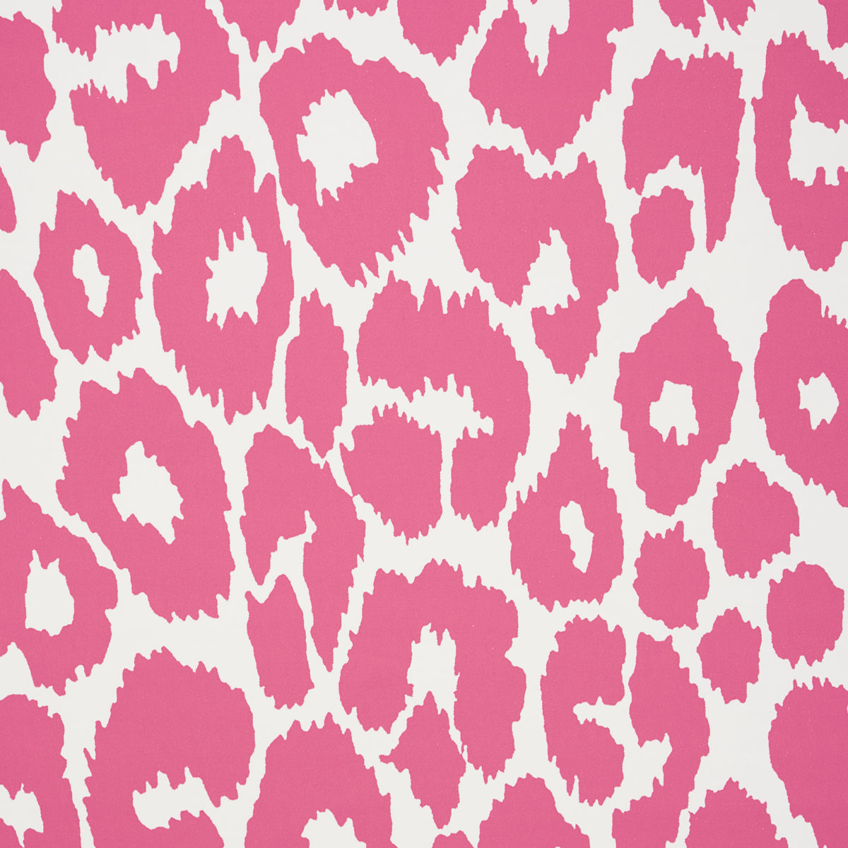 ICONIC LEOPARD | Pink