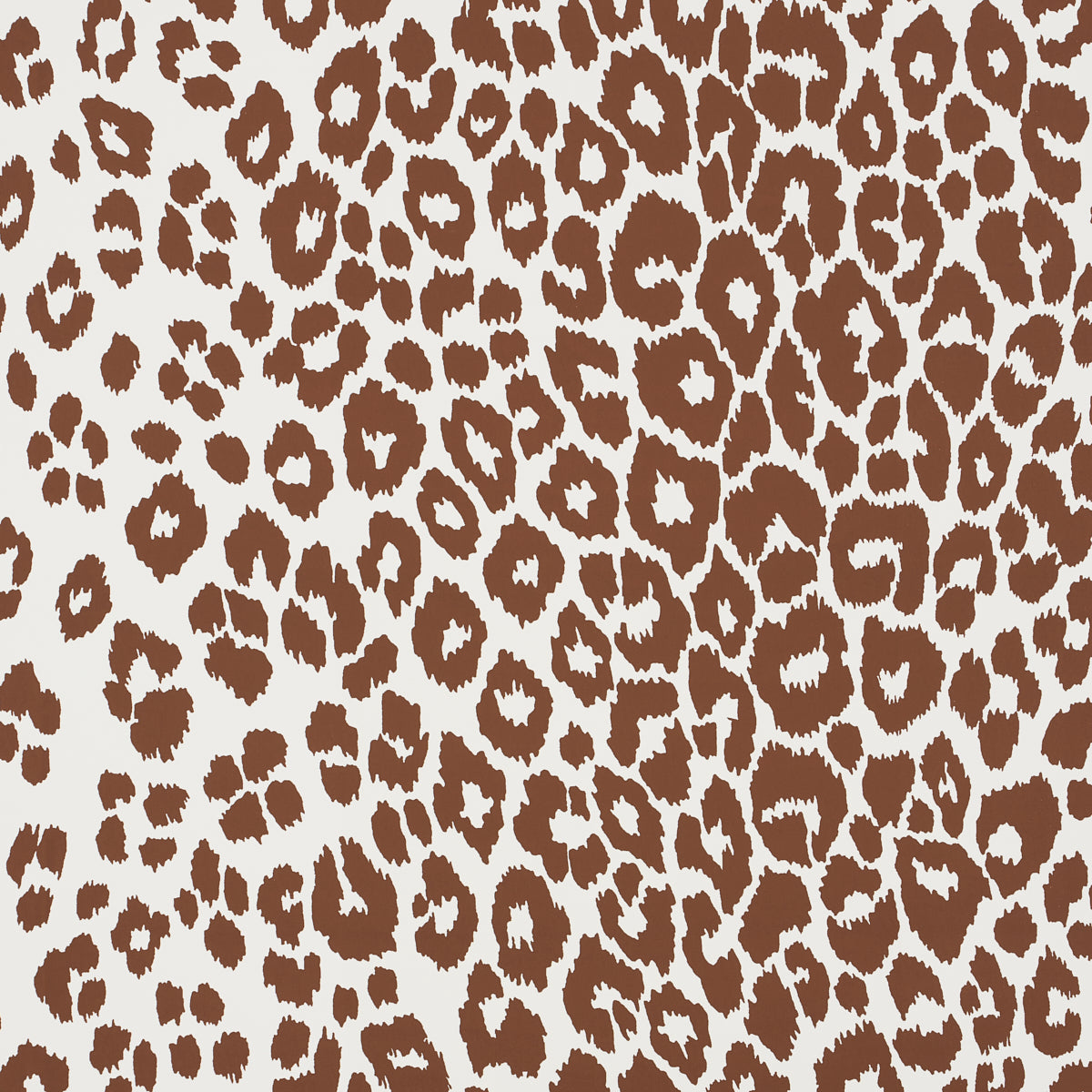 ICONIC LEOPARD | BROWN