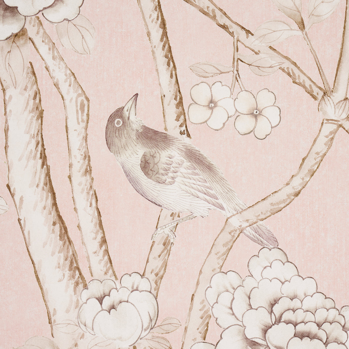 CHINOIS PALAIS PANEL | Blush Conch