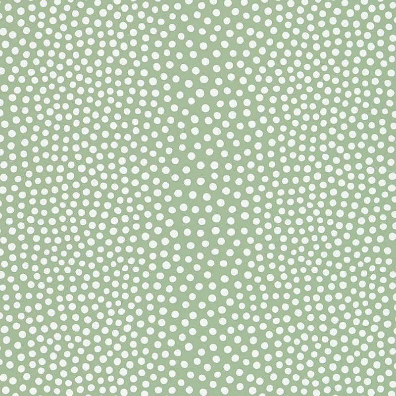 RAINDOTS | Spring