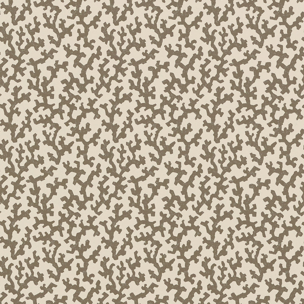 FOLLY | Berber Brown